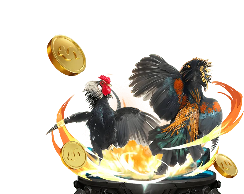 Trò chơi bài tại mp66 game